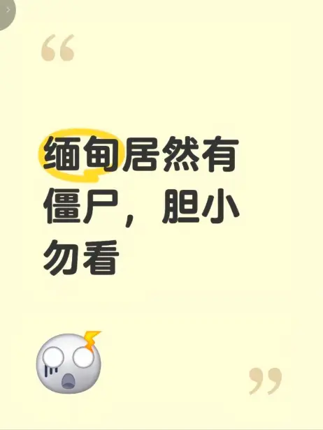 《缅甸僵尸出土事件》高清完整版在线免费播放 - 揭秘缅北神秘事件真相 - 免费资源下载