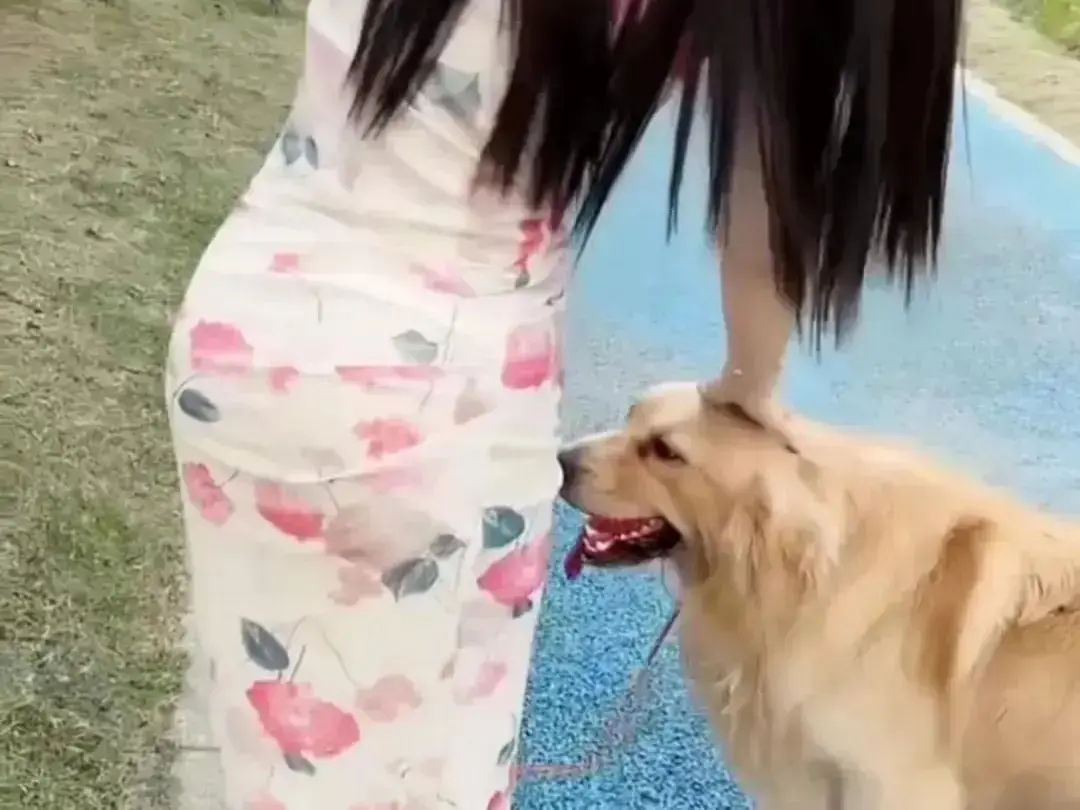 《抖音香香公主与爱犬金毛》高能日常互动完整版在线高清免费观看-抖音金毛蹭香香公主撒娇直播回放无广告网盘资源免费秒播《抖音香香公主与爱犬金毛》在线吃瓜