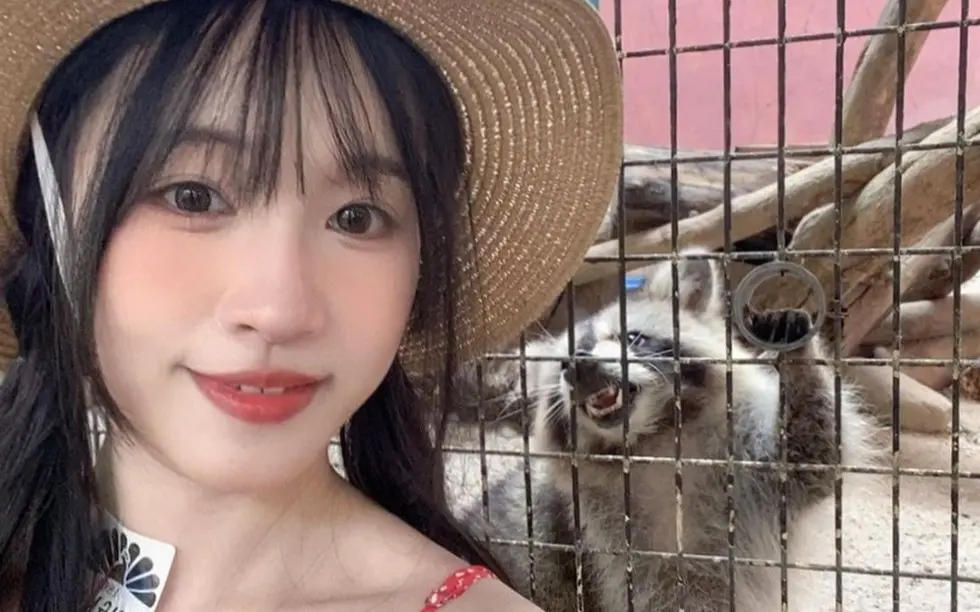 国产女神《苏畅》vlog视频大全 高清1080p在线观看全集免费观看-《苏畅》全集资源