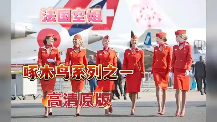 《法国空姐4》资源下载-法国空姐4免费完整版超高清在线观看-全季无卡顿4K