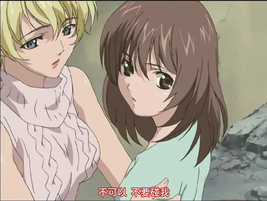 《DARK SHELL 监中之艳》全集未删减1080P超清中字完整版-DARK SHELL 监中之艳夸克网盘资源免费在线看-无广告百度云下载