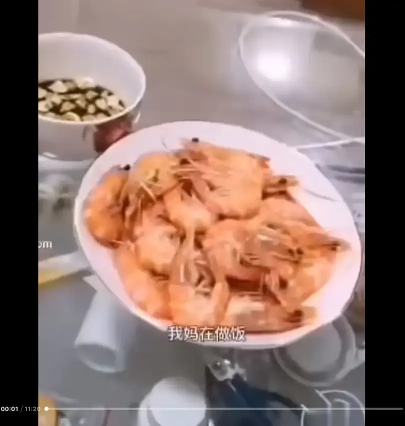 《大虾母子厨房完整版》高清视频免费在线观看 猎奇视频资源揭开梗的神秘面纱 来龙去脉一看视频就明白 百度/夸克/迅雷网盘下载